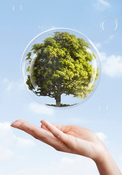 A tree in a bubble levitating above a hand